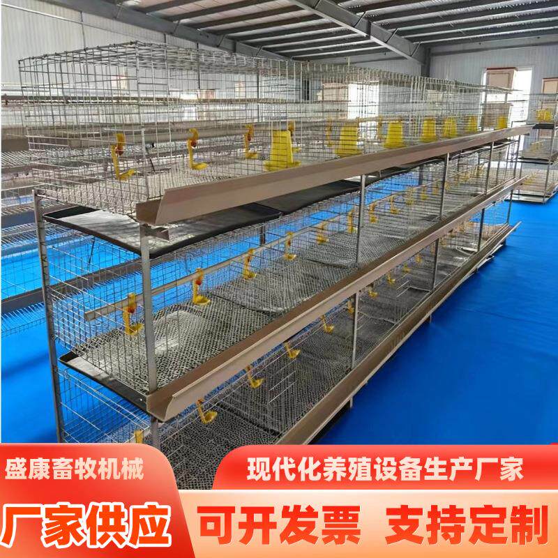 速发肉鸡笼+镀锌3层立体养殖场肉鸡笼+H型雏肉两用养殖鸡笼铁丝养