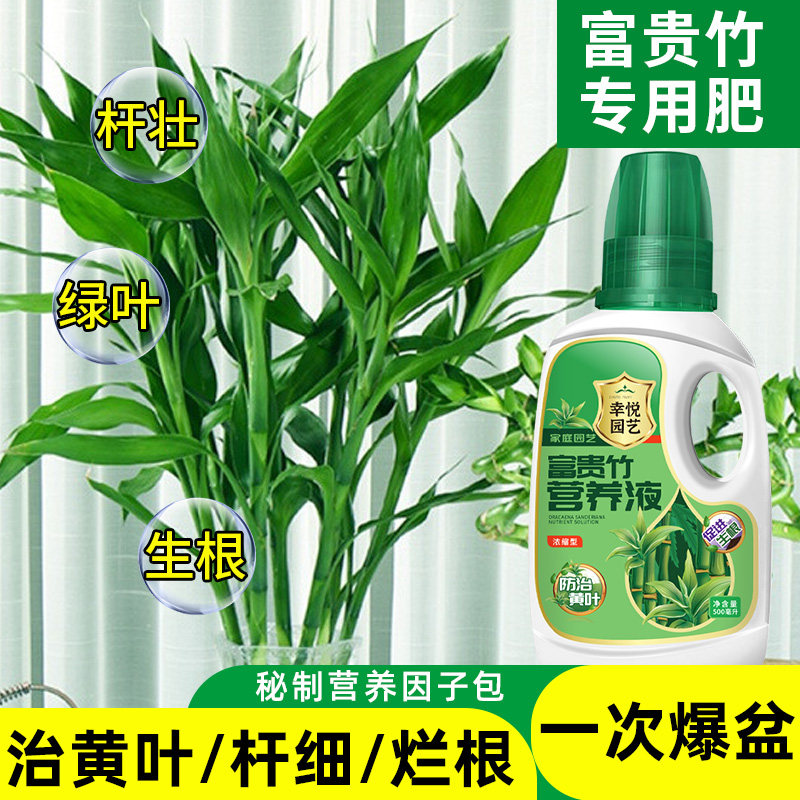 速发富贵竹营养液治黄叶促生根转运竹龙竹观音物水培植竹花肥