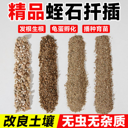 速发蛭石扦插根大颗粒月季发用珍珠岩养花用乌龟蛭化白孵石园艺营