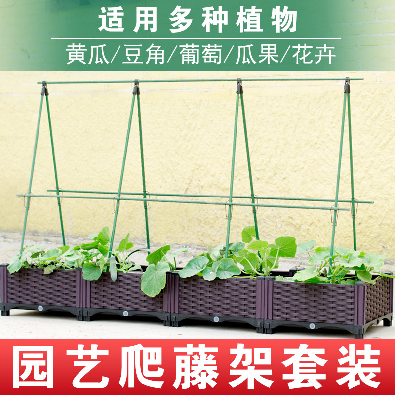 速发葡萄爬藤杆西瓜豆角蔬菜攀爬架包塑钢管植物支撑架种菜黄红柿