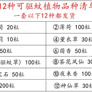 速发驱蚊草艾草驱籽花草室外盆栽庭院除虫菊四季播防种蚊植物组合