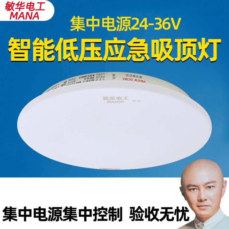速发敏华A型灯V中压应急6集低集中控制智能疏散过道感应灯具