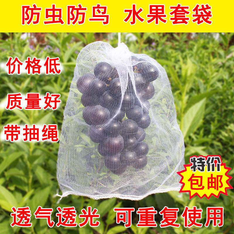 速发水果网袋葡萄套袋瓜袋防虫防鸟网袋套果蔬菜色虫袋塑料白防浸