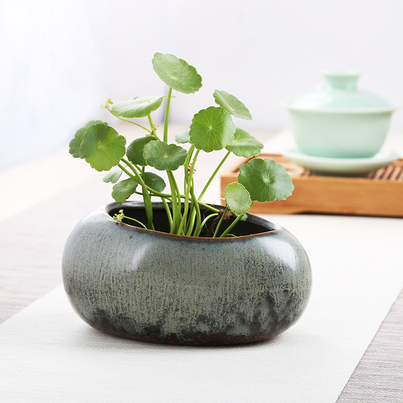 速发水培花盆无孔水仙花铜钱草个性仿石头养碗莲一叶莲水盆盆