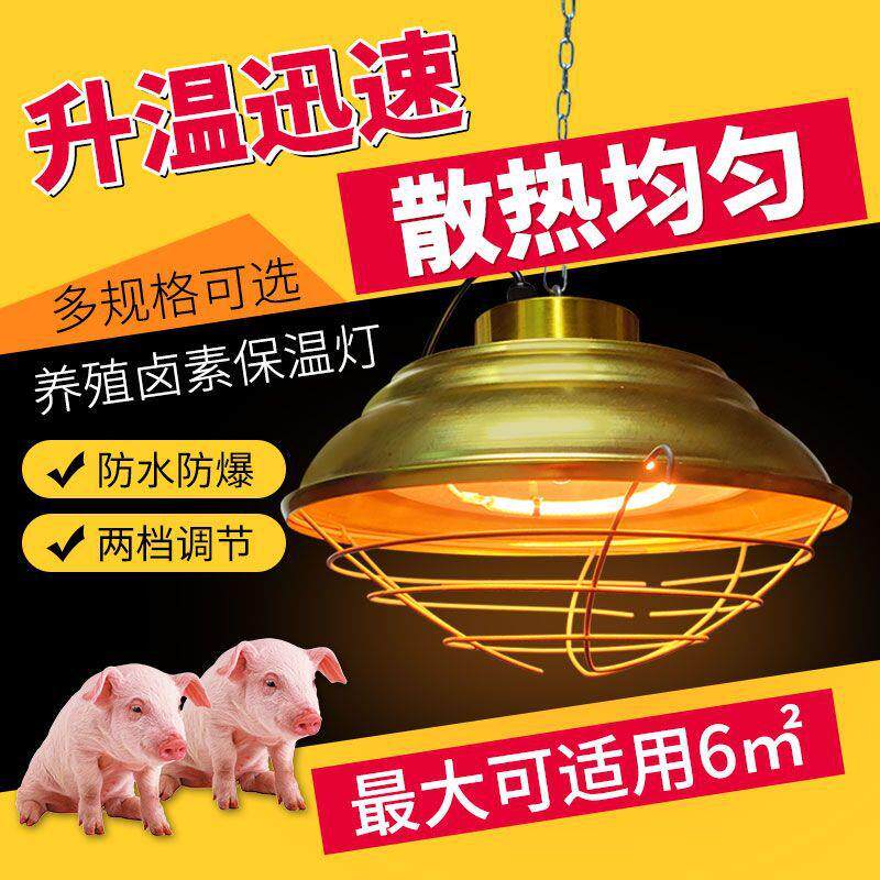 速发养殖场保温灯卤素养殖取暖灯可调温度育雏加热灯猪场防水防爆