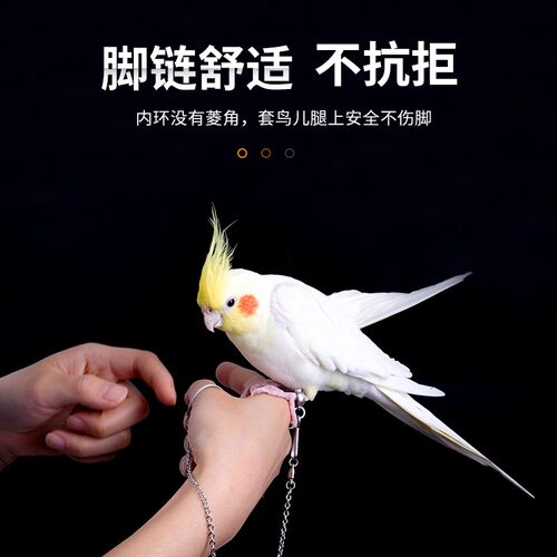 速发站链鹦鹉脚凤脚环虎皮牡丹鸟用架子玄架链子活扣不伤脚放飞绳
