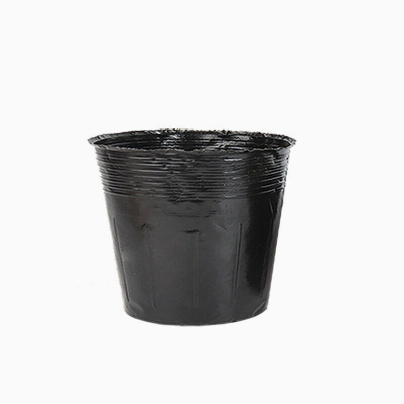 速发杯特育苗千营养杯塑料加厚一次性花盆育苗装黑色育苗钵盆土神