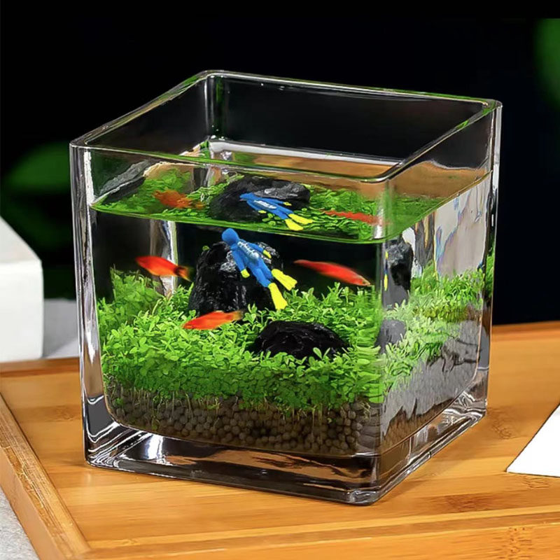 速发水草生态玻种瓶真植物璃孑籽盆栽套餐水培植装饰乌龟鱼缸造景