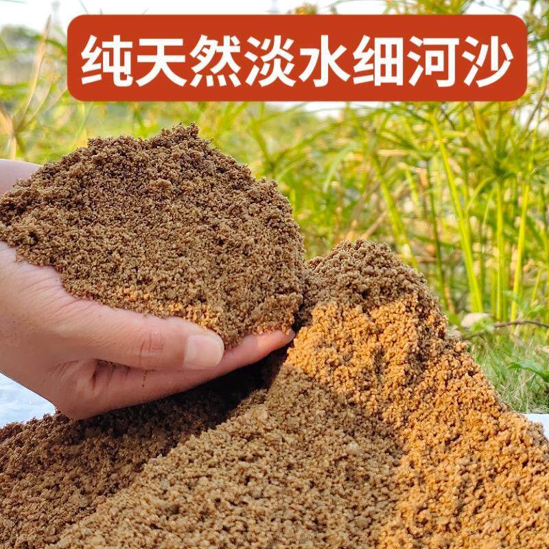 速发养花专用河沙天然淡水细沙种植拌土扦插多肉乌龟鱼缸底砂建筑