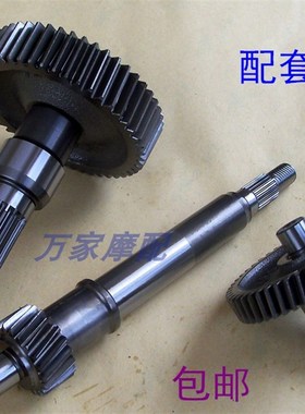 速发WH100T小公主喜忧托优悦GCC摩悦车配件尾牙齿传动齿变速齿轮