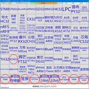 莱智芯创智联 XCM32LC256 1拖2 可扫描  脱机烧录烧写编程下载器