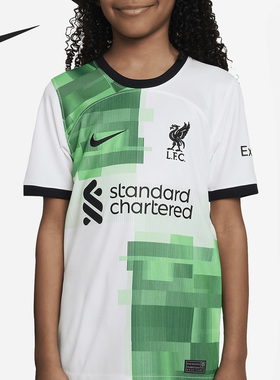 Nike/耐克正品新款儿童新款透气训练比赛足球短袖DX2764-101