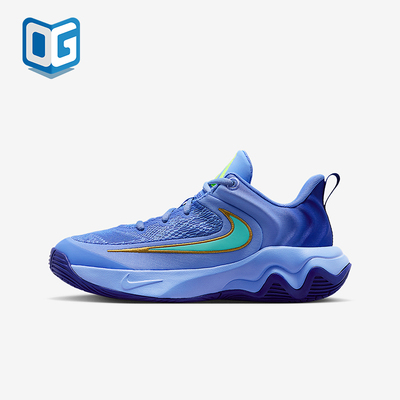 Nike/耐克正品2025秋季款GS女子大童耐磨减震篮球鞋IH7664-400