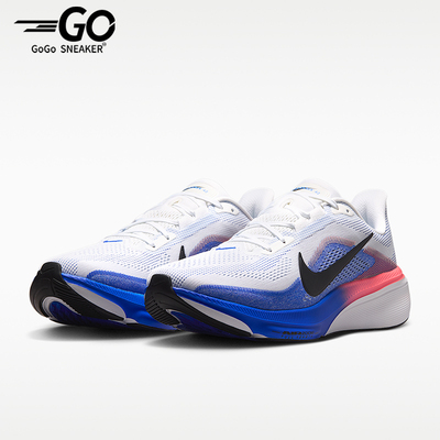 Nike/耐克正品Pegasus 42 飞马男士透气公路跑步鞋IB1873-105
