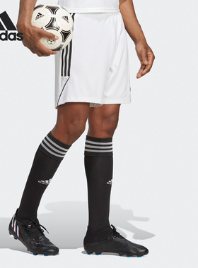 Adidas/阿迪达斯正品夏季新款男子足球运动训练短裤IB8083