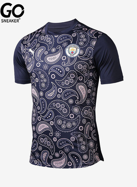 Puma/彪马正品2025男士日常圆领套头耐穿透气足球短袖758030-09