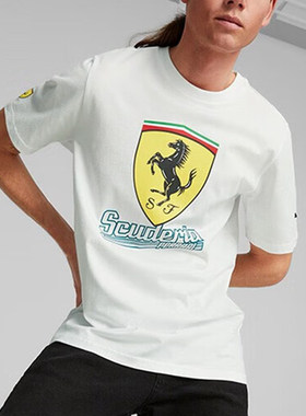 Puma/彪马正品夏季新款男士柔软透气圆领比赛T恤538186-04