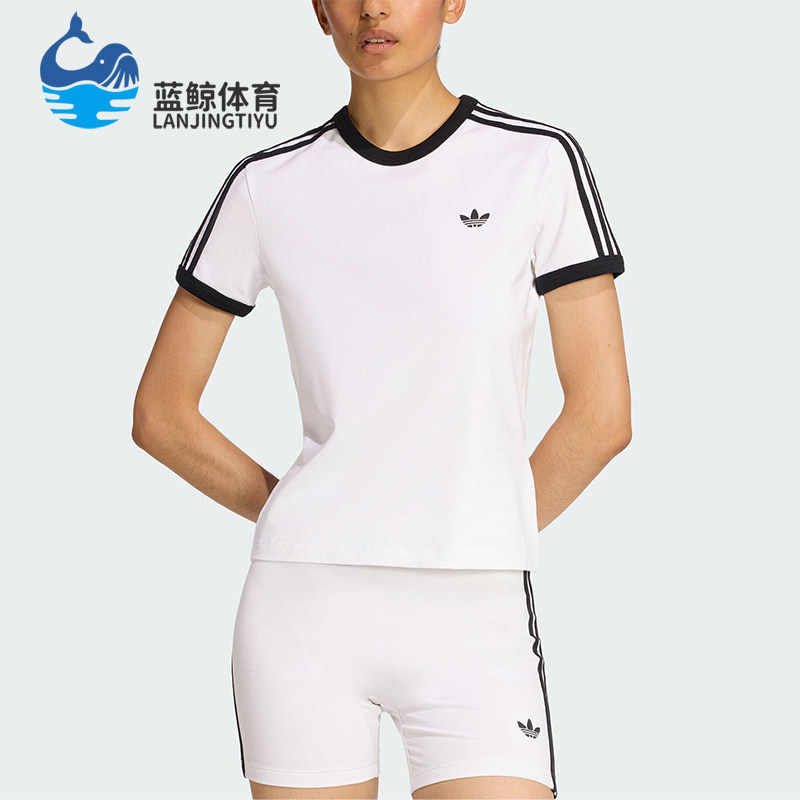 Adidas/阿迪达斯正品三叶草女士圆领经典套头透气修身短袖KD3683图片