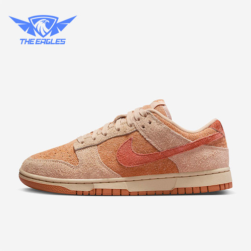 Nike/耐克正品运动女士时尚复古潮流耐磨系带板鞋HF5075-287