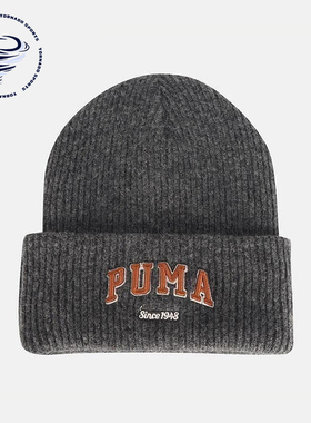 Puma/彪马正品2025年夏季男女运动保暖经典休闲针织帽027233-01