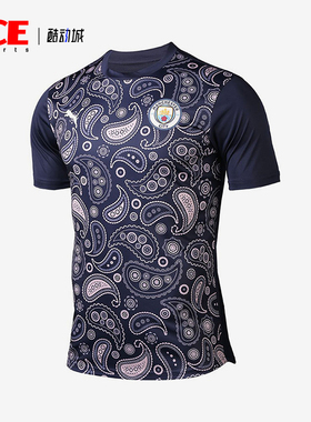 Puma/彪马正品2025男士日常圆领套头耐穿透气足球短袖758030-09