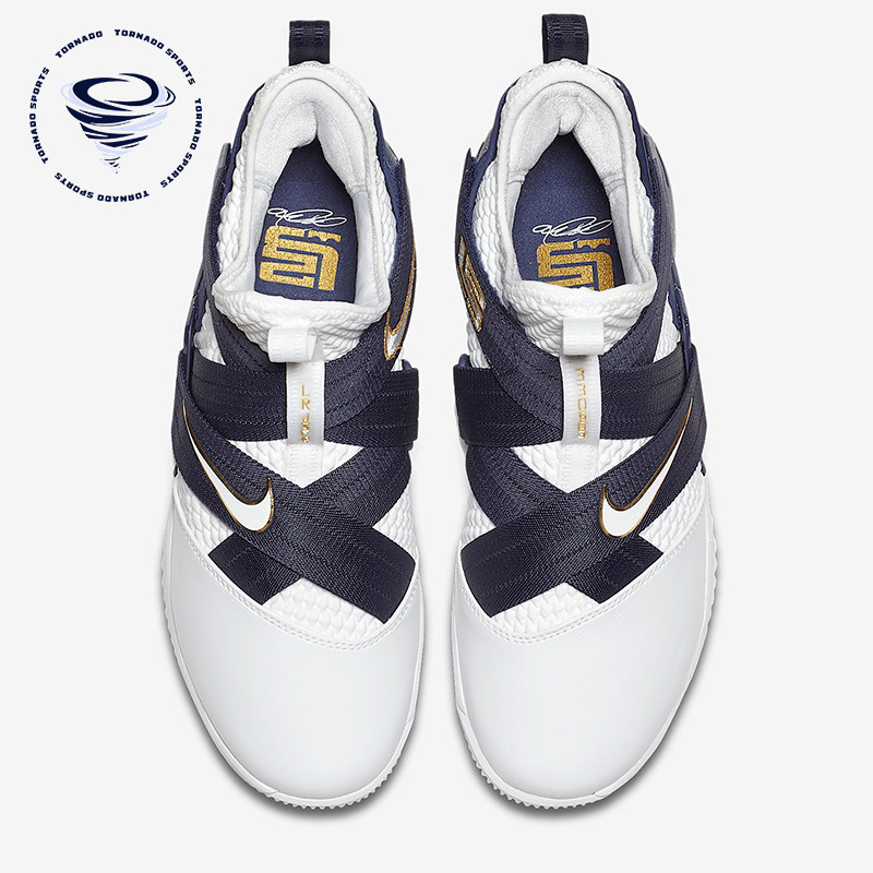 Nike/耐克正品zoom soldier男士詹姆斯实战篮球鞋AO4055-100