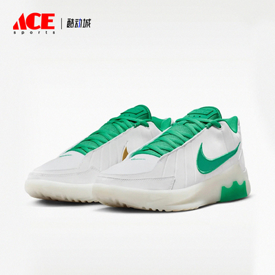 Nike/耐克正品LEBRON WITNESS IX EP男士经典篮球鞋HQ8035-101