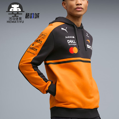 Puma/彪马正品2026年新款男士连帽套头休闲运动卫衣713950-01