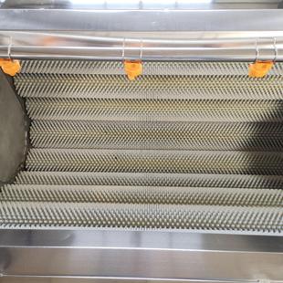 商用山217莲 药红薯清洗 藕毛辊清洗机全动自洋芋萝卜去皮清洗机