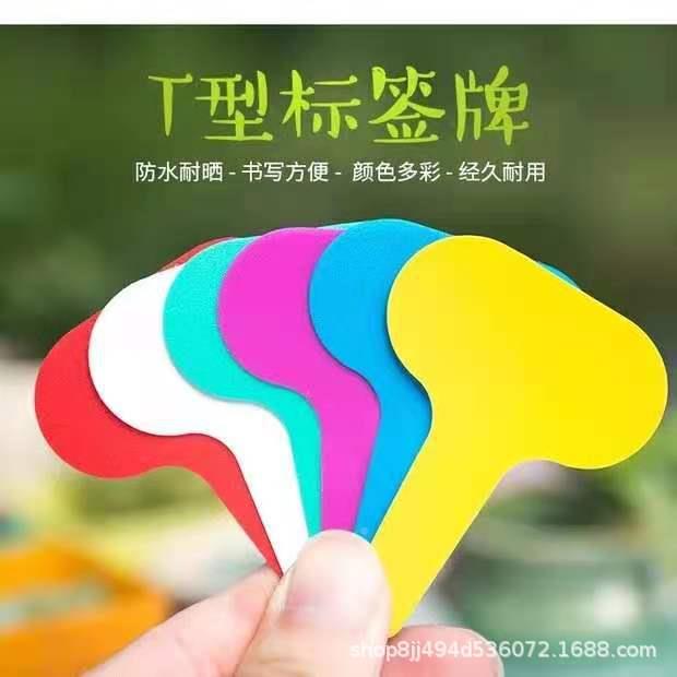 T型5x7塑料园艺标签多肉标牌插植物花牌卉标签花牌防晒T型5x7防卉图片