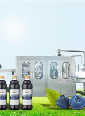 8000瓶TSGX18-1/小时玻璃一瓶含气自动灌装设备三合灌机 全自生动