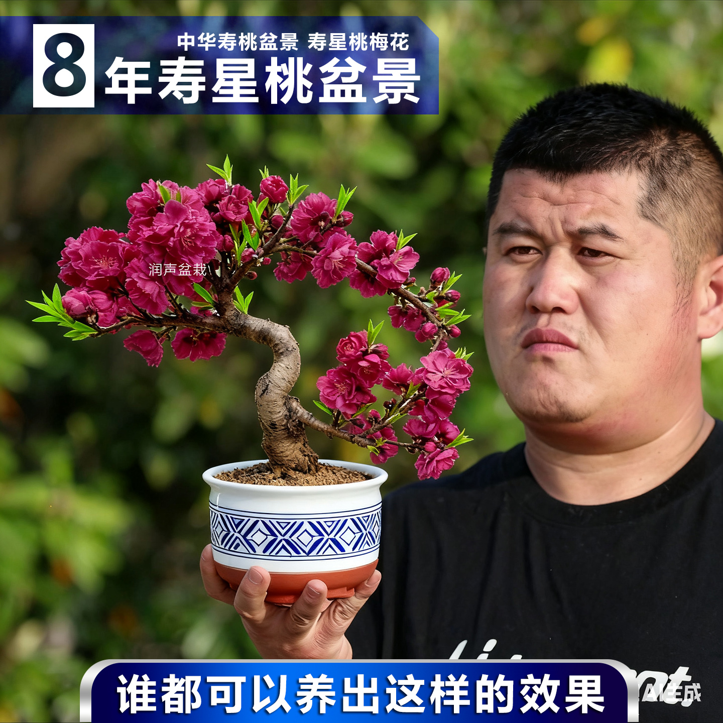 寿星桃盆景重瓣寿心桃梅花盆栽8年老桩Ｓ型造型盆景耐寒桃花树苗