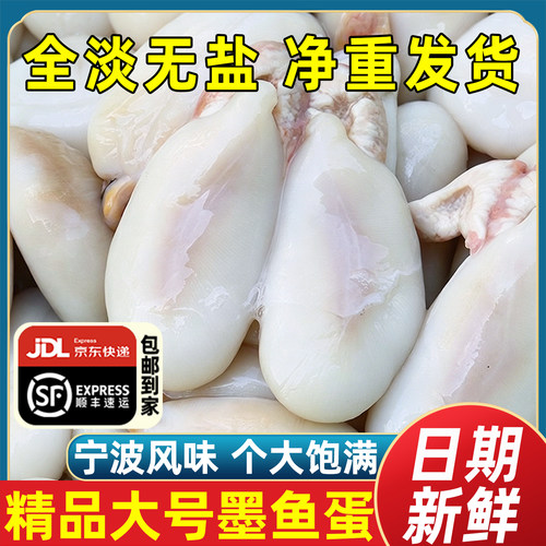 精品大号墨鱼蛋淡干不加盐新鲜