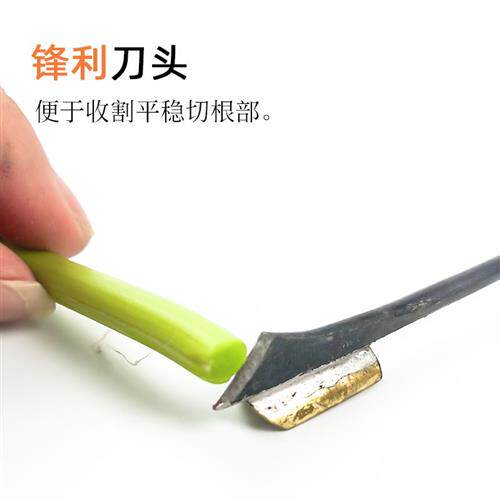 极速蒜薹收割刀抽蒜薹的工具手工蒜E薹提蒜薹打滴划剥拔割蒜薹刀