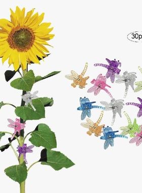 极速Plant Vines Floower Stem Clips Orchid Clips Garden Plant