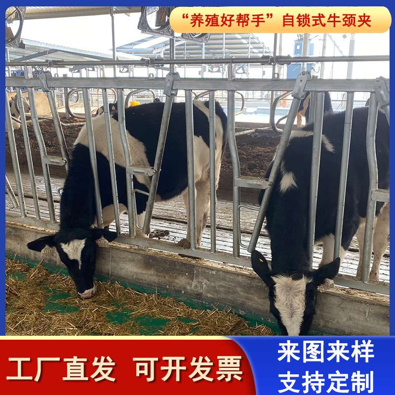 牛颈夹配件牛颈枷牛卧床羊颈夹配件牛场栏位单开双开牛场设备