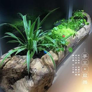 极速多肉枯木花盆根雕花架仿树根木头客厅种花老R木槽盆栽老桩长