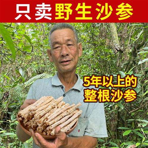 老周深山纯野生北沙参500g正品中药材干货山胡萝卜沙叁新鲜条玉竹