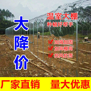 极速温室大棚g骨架钢管花房暖房植物养殖温棚家K用简易庭院棚膜保