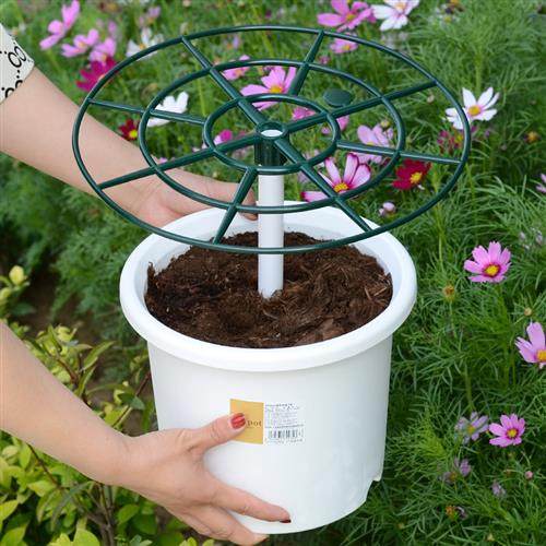 极速向日葵造型支架盆栽棒棒糖支架叶仙支撑架种向日葵Y支架子向