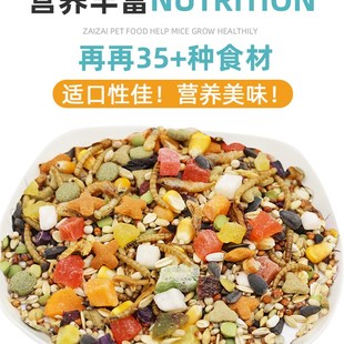 新品仓鼠c粮食食物营养主粮吃的饲料金丝熊专用大礼包冻干小零食