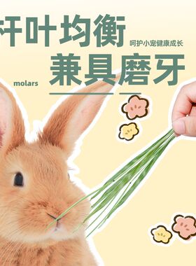 极速提摩b西草干草兔子粮草食用兔粮饲料豚鼠荷兰猪的提莫晒干专