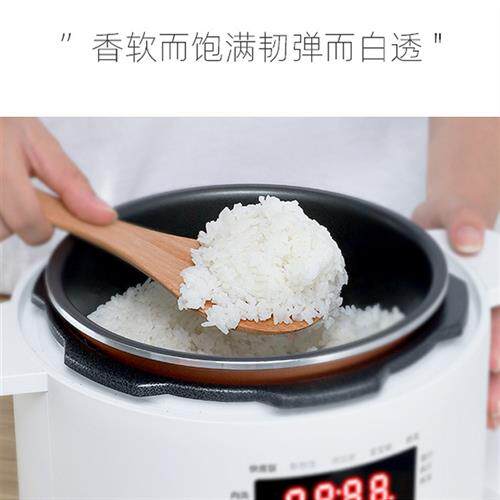 极速2023新款陶瓷内胆t电高压锅家用智能迷你电压力电饭锅多功能