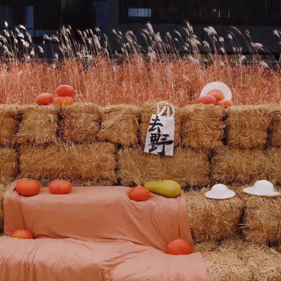 极速草垛干稻农家乐稻草圆形方形草垛子婚庆拍P摄户外乐园装饰道