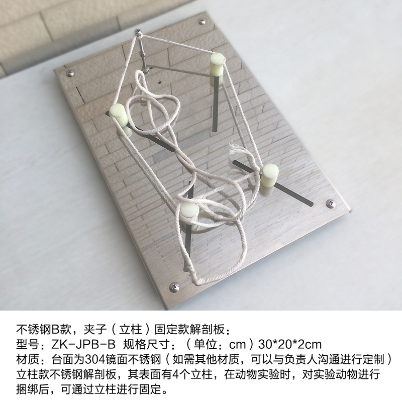 极速恒温大小鼠手术解剖板固定板不锈钢实验器材蛙类工.作台加热