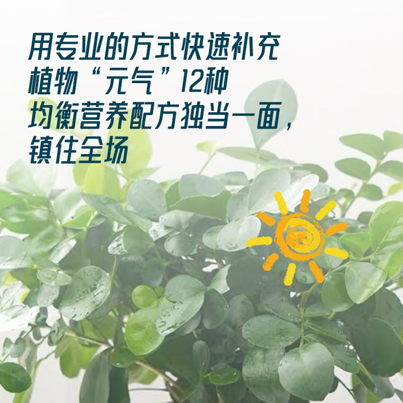 水培植物营养液室内盆栽植物营养液通用型富贵竹绿萝X肥料养花肥