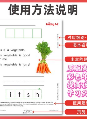 RAZ分级阅读绘本原版WorkSheet英语启蒙教材课后练习题aa-z2级别