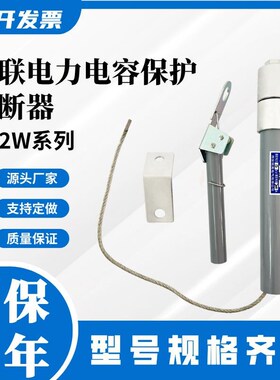 铭高并联电力电容保护熔断器 BR2/BRN/BRW-10(12)KV熔断器