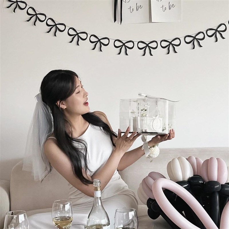 ins韩风蝴蝶结拉旗珠光简约生日派对布置氛围感T节日装饰拍照出片