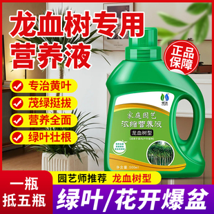 速发龙血树专用营养液植栽植物室养绿盆内花花肥防黄叶掉叶叶斑烂